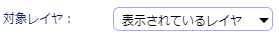 対象レイヤ